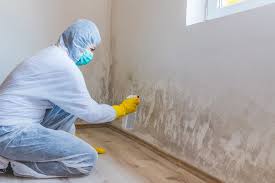 Best Mold Damage Restoration in Unalaska, AK